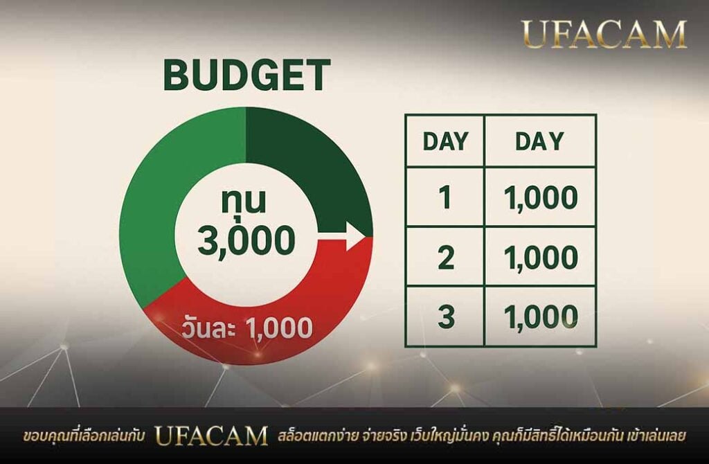 อินโฟกราฟิกกราฟวงกลม แบ่งงบ 3,000 บาท วันละ 1,000 บาท สล็อต แตก ง่าย