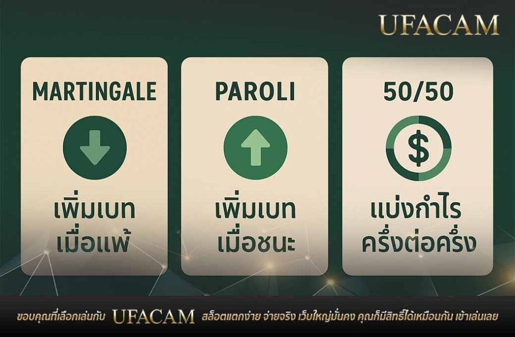อินโฟกราฟิกการ์ดสูตรสล็อต สล็อตฟรีสปิน